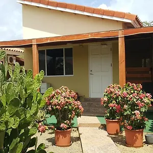 https://bubali-studio.comcaribbean.com